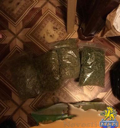 Симферопольцу грозит тюрьма за выращивание марихуаны на поле в Бахчисарайской районе - «Происшествия»