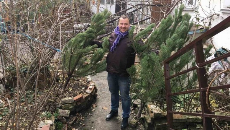 Избран новый мэр Феодосии - «Политика»