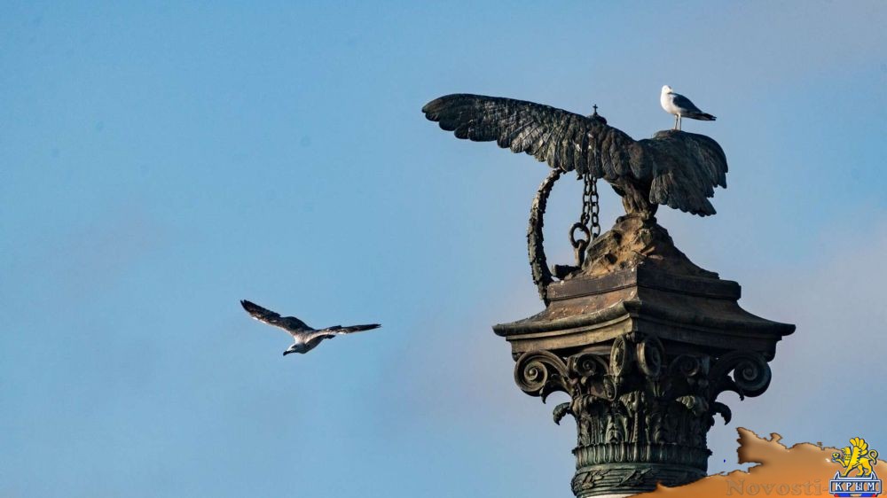 Кого и как в Севастополе "отблагодарят" за импортозамещение - «Экономика»