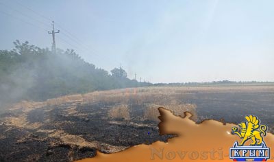 Киевские каратели уничтожают урожай на полях Запорожья и Херсонщины зажигательными боеприпасами - «Происшедствия Крыма»