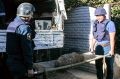 В Севастополе пиротехники МЧС уничтожили стокилограммовую бомбу - «Происшествия»