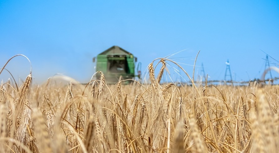 Крым завершил сбор рекордного урожая зерновых - «Политика Крыма»