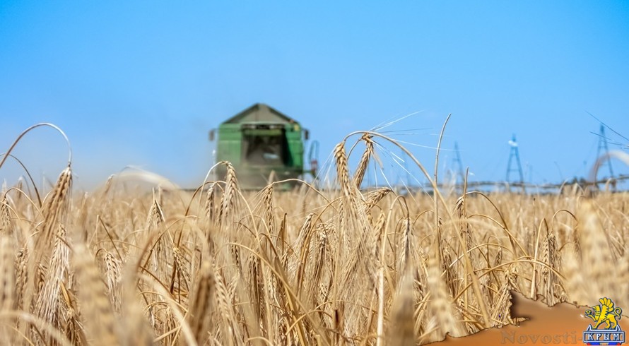 Правительство России рассмотрит запрет на вывоз зерновых - «Экономика Крыма»