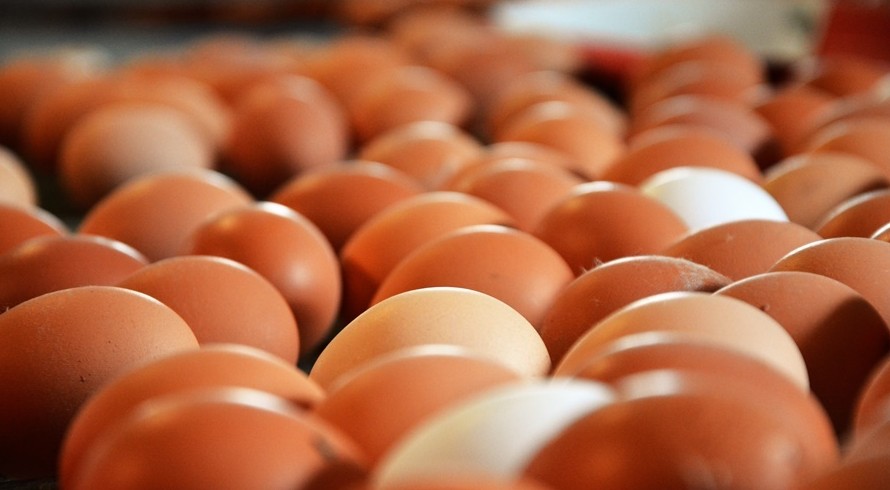 ФАС возбудила дело против производителей яиц в Крыму из-за резкого повышения цен - «Возвращение в Россию»