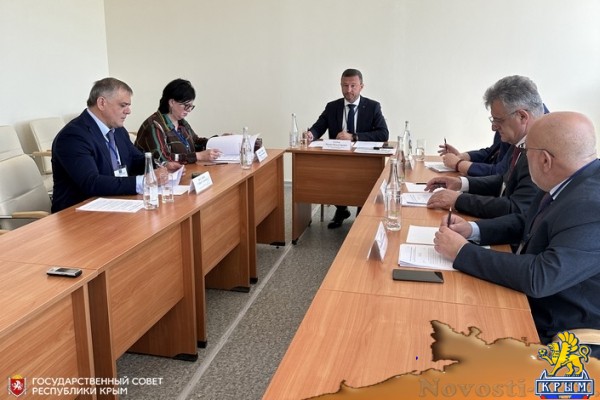 Ольга Виноградова представила на заседании профильного Комитета ЮРПА крымские инициативы по поддержке бюджета муниципальных образований - «Новости Государственного Совета Крыма»
