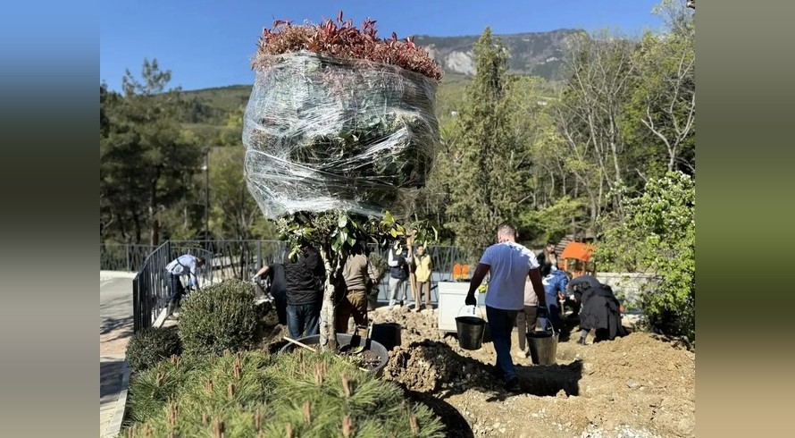 Ялта наводит порядок в рамках всероссийского субботника - «Спорт Крыма»